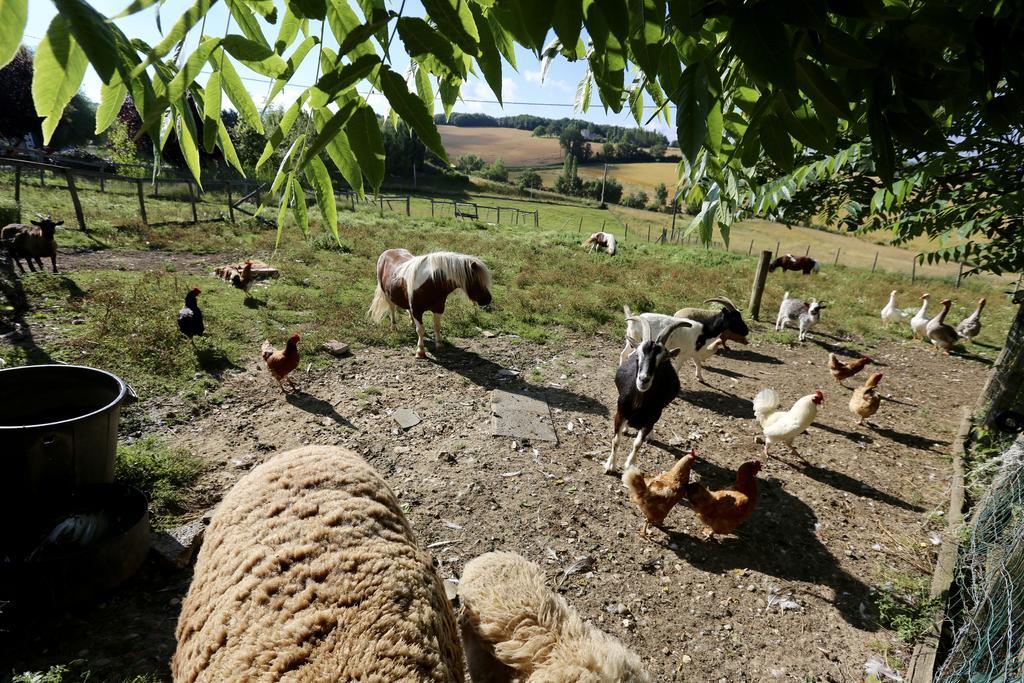 Castelnaud-de-Gratecambe La Ferme Coudercヴィラ エクステリア 写真