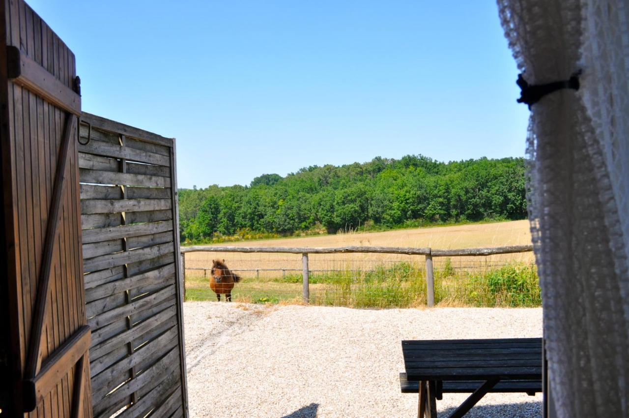 Castelnaud-de-Gratecambe La Ferme Coudercヴィラ エクステリア 写真